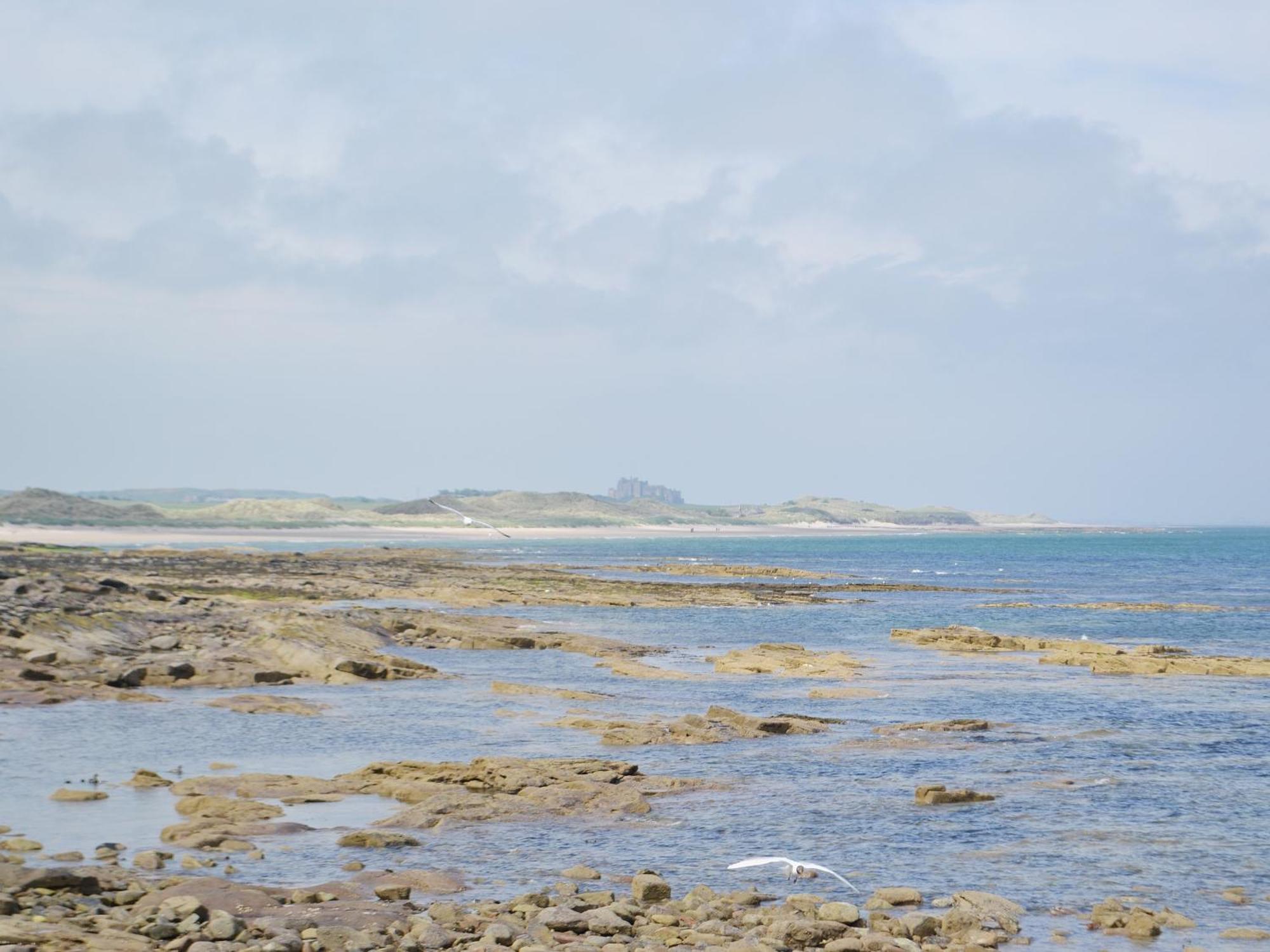 Daisy Cottage Seahouses Zewnętrze zdjęcie